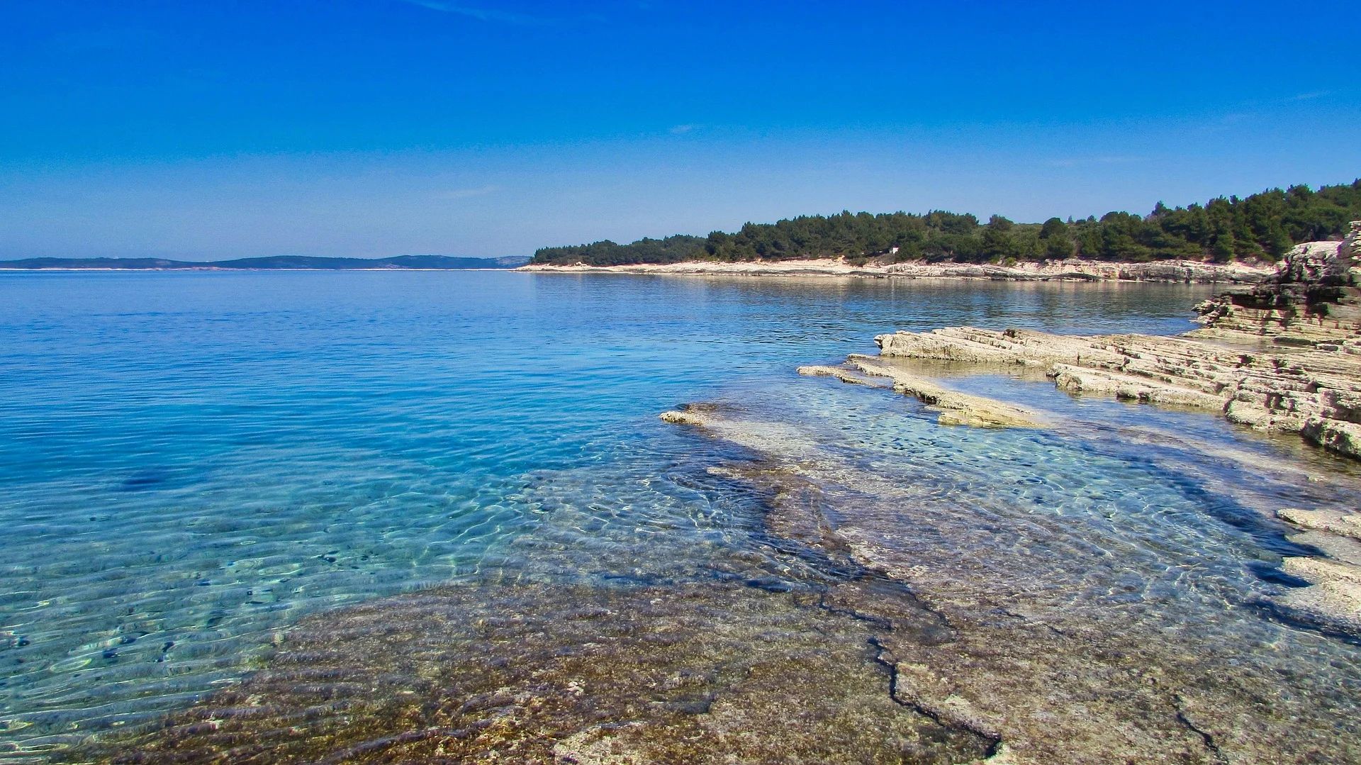 Real Estate Paradise Istria
